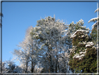 foto Parco Sebellin in Inverno